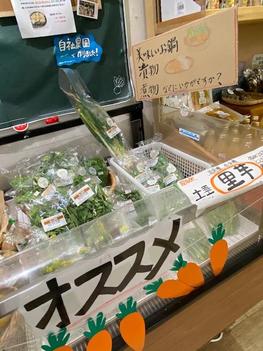 自社農園栽培の野菜