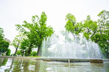 中野四季の森公園