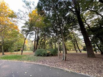 江古田の森公園