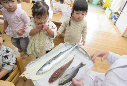 えっどうしよう