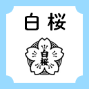 白桜