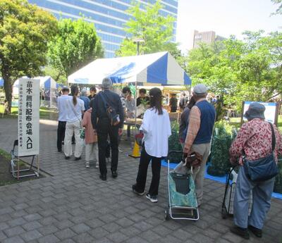 ・事前抽選苗木