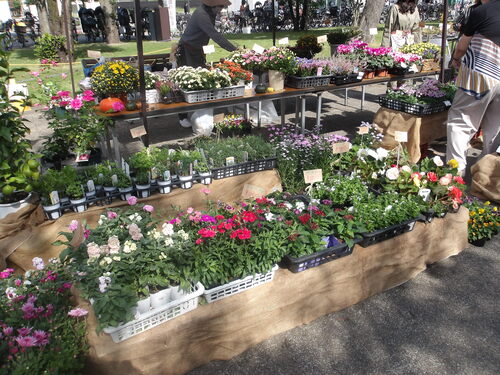 城北造園の様子