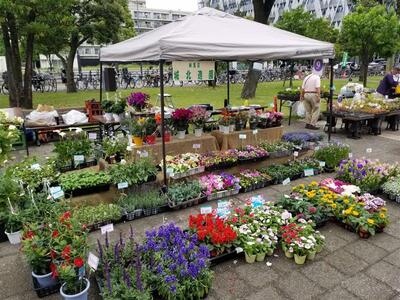 花と緑の祭典の様子