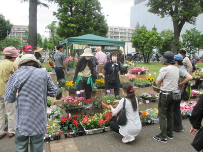 花と緑の祭典の様子