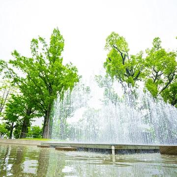 中野四季の森公園 水遊び場