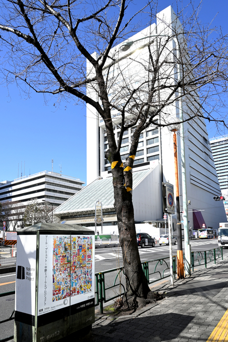 配電地上機器にアール・ブリュット作品を展示した中野ミューラルプロジェクト。