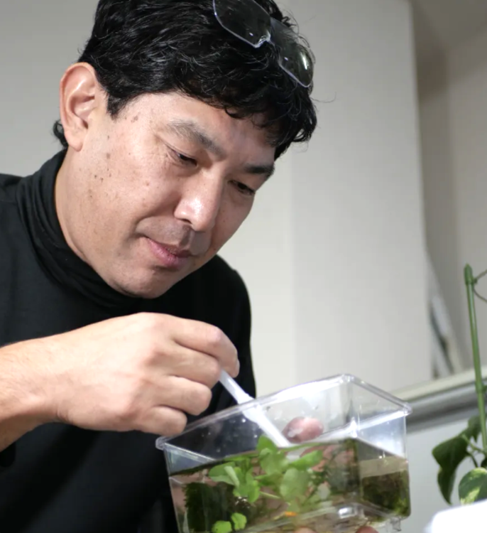 堀千ホタル研究所提供