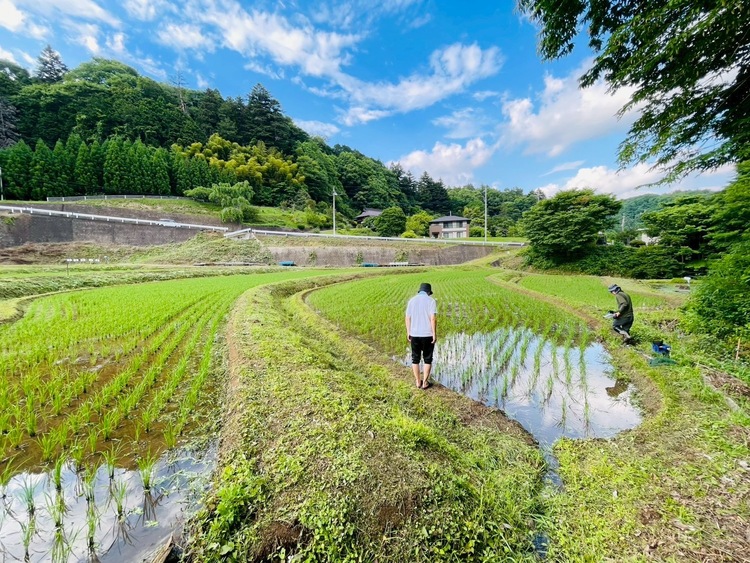 画像：堀千ホタル研究所提供