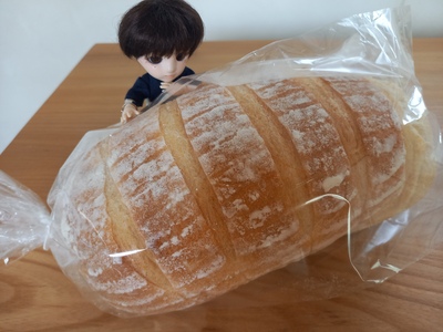 カンパーニュ