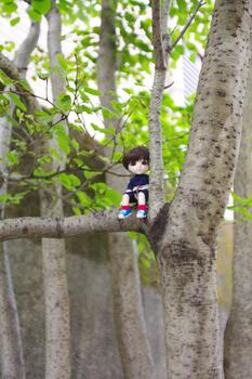 敷地内の木に登るちびナカノさん