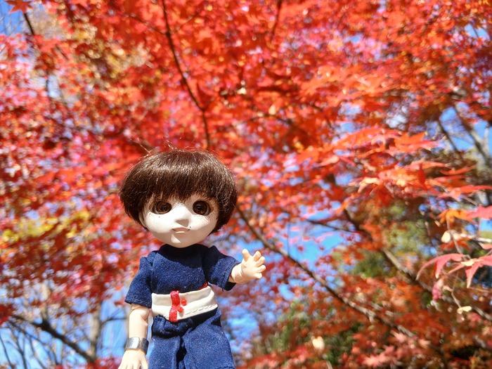 紅葉とちびナカノさん