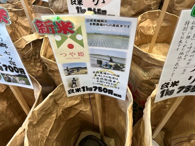 現地での写真付き看板