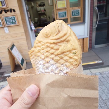 ハヤシヤハのソイクリームたい焼き