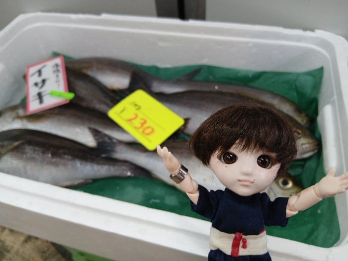 イサキとちびナカノさん
