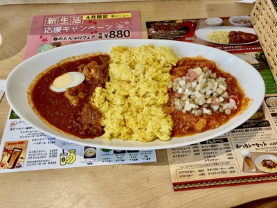 2種類のカレーとスペシャル定食