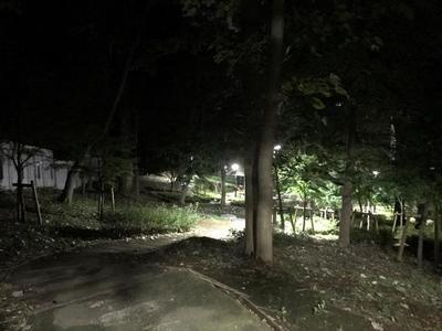 夜の公園