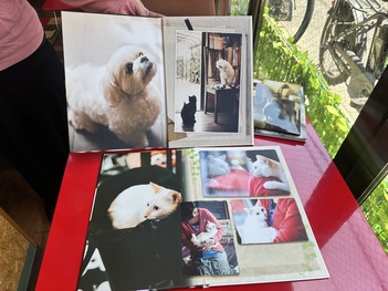 写真集2