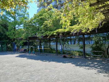 上高田台公園の健康遊具