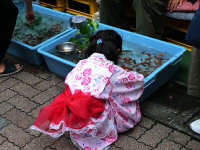金魚すくい