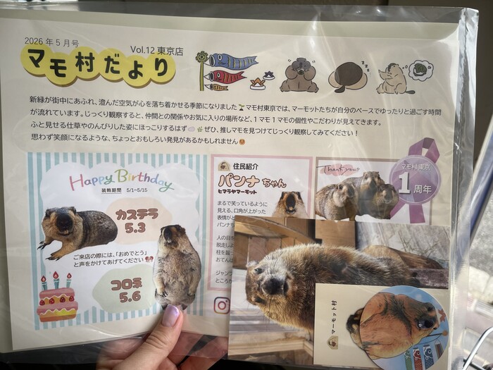 マモ村だより