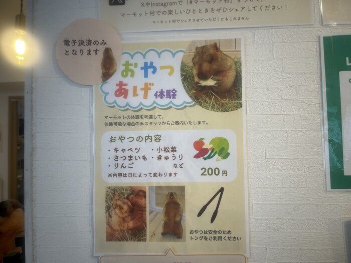 おやつあげ体験