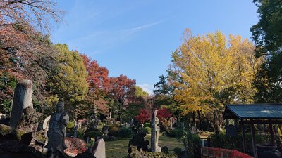 紅葉