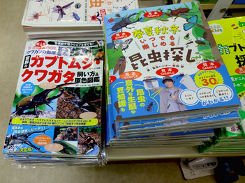 書籍サンプル