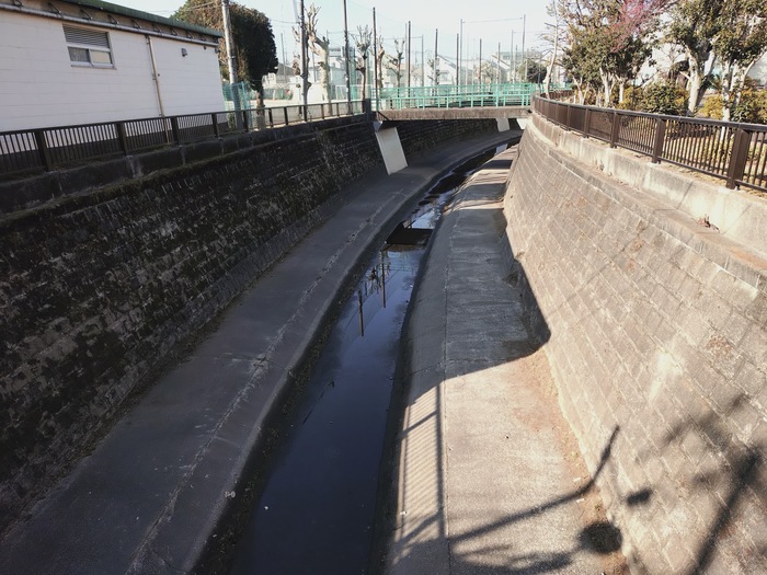 妙正寺川