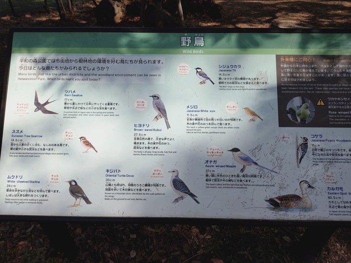 鳥の看板