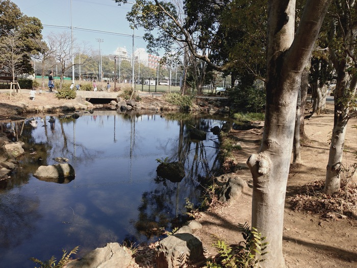 公園内の池
