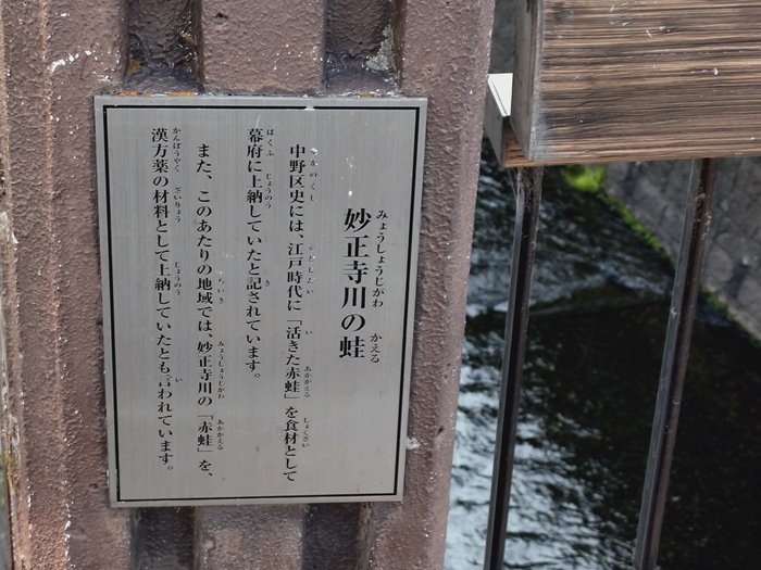 豆知識情報