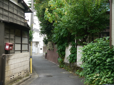 山手通り付近の暗渠道