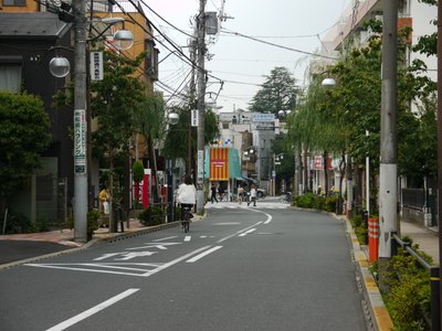 薬師柳通り