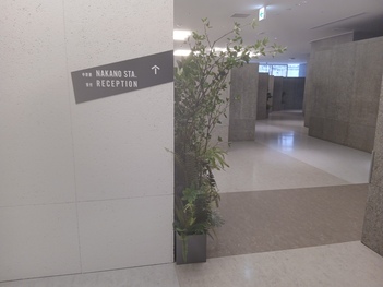 通り抜け可能な小道