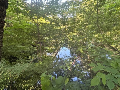 池