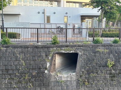 見鳩小学校の下
