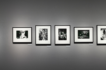 Hosoe Eikoh, “Barakei” (Ordeal by Roses) series