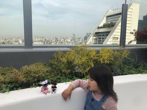 屋上庭園
