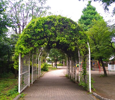 緑のアーチ