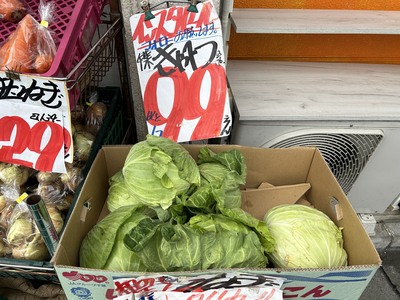 キャベツ