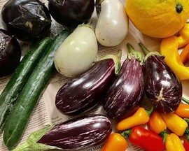夏野菜の写真