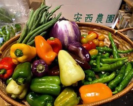 夏野菜の写真