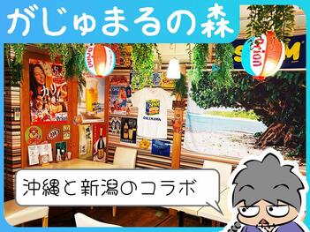 がじゅまるの森内観