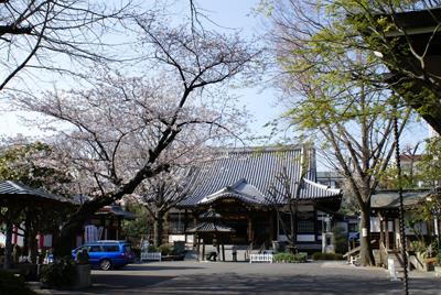 成願寺の写真