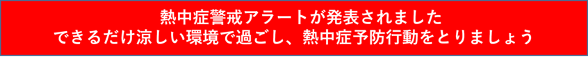 alert