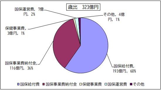 国保給付費193億円、国保事業費納付金116億円、国保運営費7億円、保険事業費3億円、その他4億円