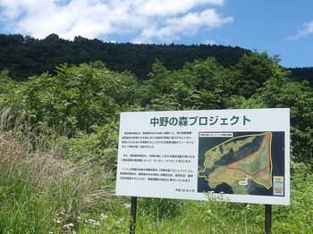 中野の森プロジェクト看板