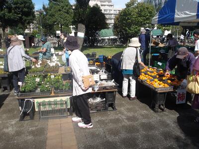花苗・果物等の販売