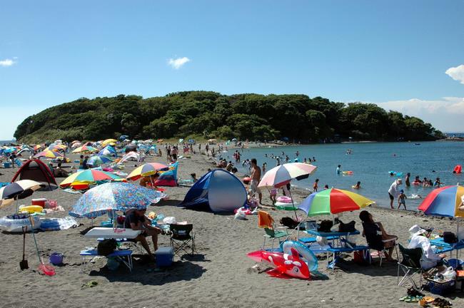 館山市の夏